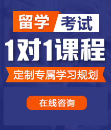 大鸡巴操死你的小骚屄网站视频留学考试一对一精品课